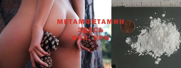 мяу мяу мука Белокуриха
