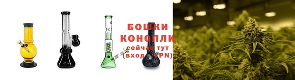 мяу мяу мука Белокуриха